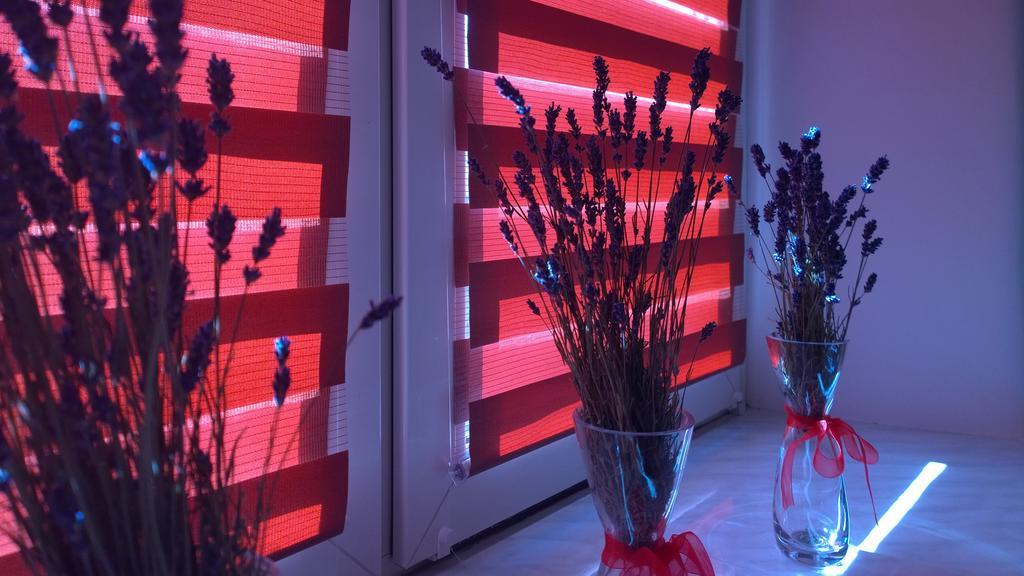 Apartament W Krakowie Екстер'єр фото